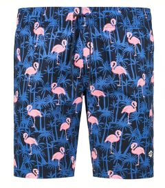 JACK & JONES  &uacute;sz&oacute; short