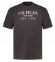 TOMMY HILFIGER  rövid ujjú póló